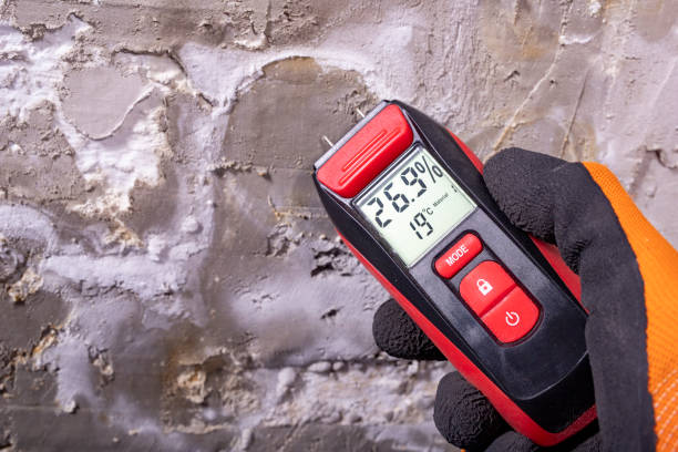 Best Black Mold Removal  in Park Hill, OK