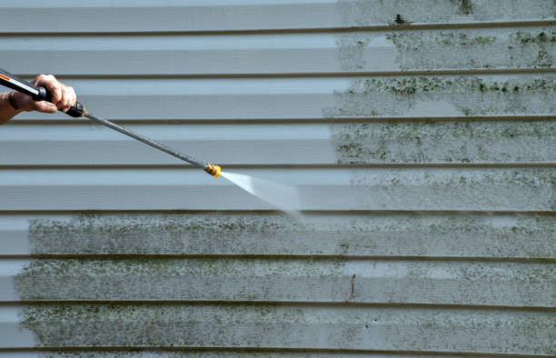 Best Mold Remediation  in Park Hill, OK