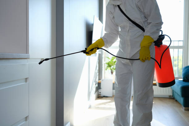 Best Emergency Mold Removal  in Park Hill, OK