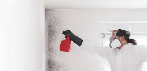 Crawl Space Mold Removal in Park Hill, OK