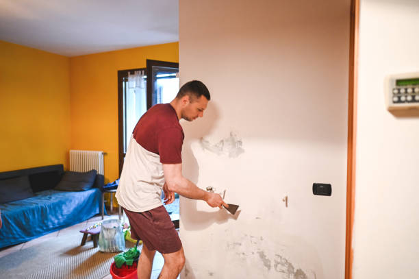 Best Certified Mold Removal  in Park Hill, OK