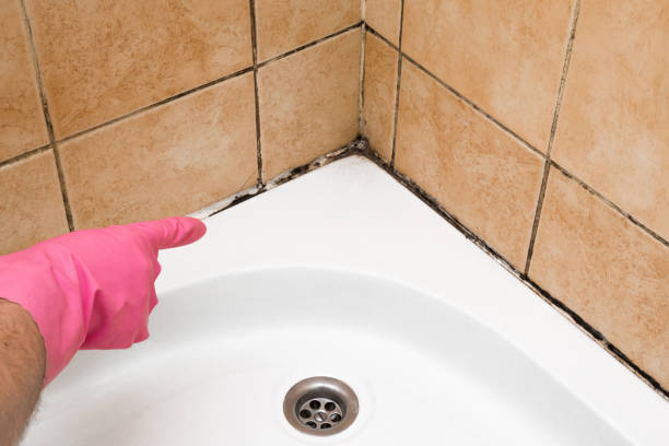 Attic Mold Removal in Park Hill, OK
